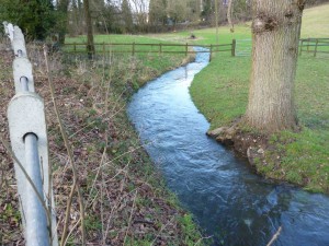 The Bourne beside Woldingham Road, February 2014
